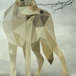 wolf-polygon anne-seifriedDESIGN